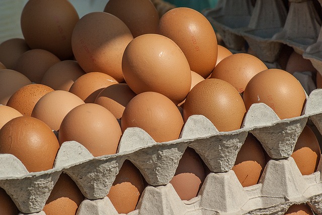 właściwości jajek i wpływ na nasze zdrowie