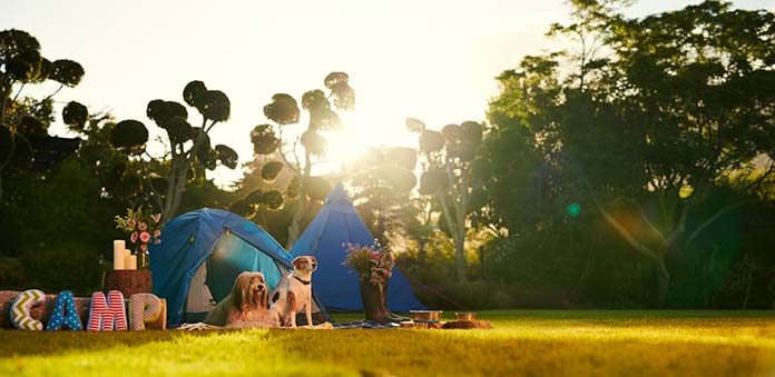 Jak wybrać sprzęt na camping? Plecaki, namioty i inne.
