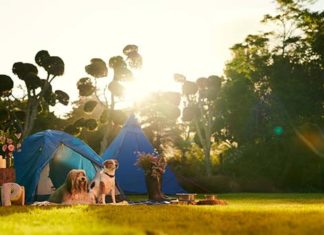 Jak wybrać sprzęt na camping? Plecaki, namioty i inne.